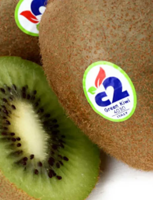 Kiwi - Immagine
