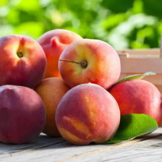 Pesche - Immagine