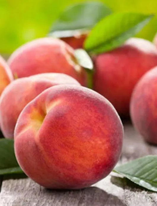 Frutta Estiva - Immagine