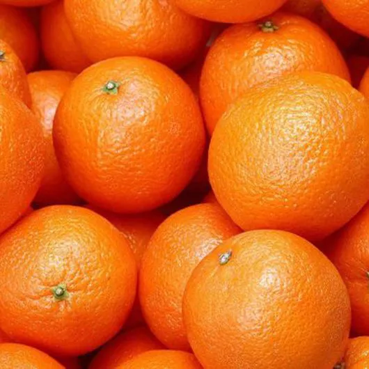 Clementine - Immagine