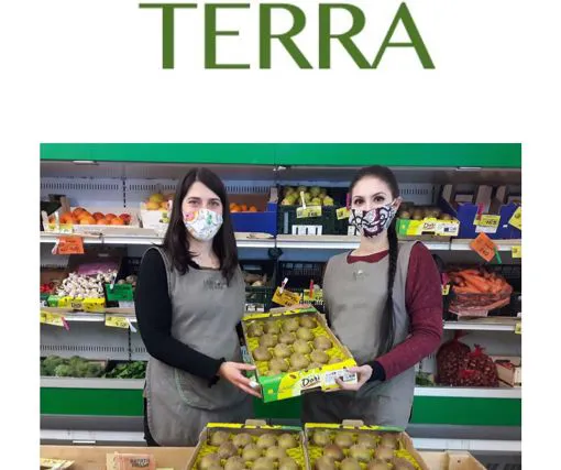 Kiwi gialli Dorì - la Buona Terra Villafranca - Immagine