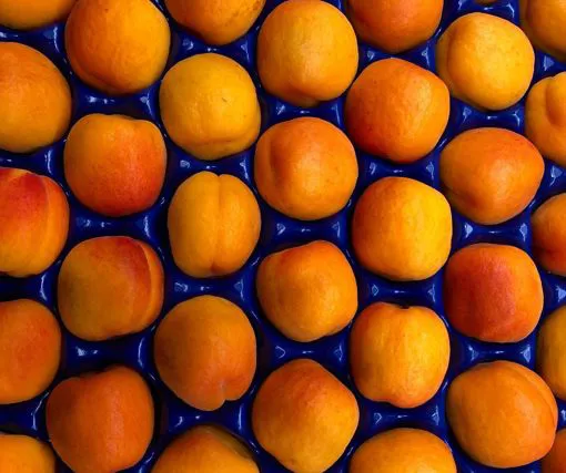 L'estate sta arrivando e da noi inizia con un frutto da non lasciarsi scappare! - Immagine