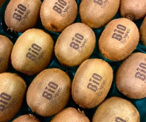 Da quest’anno FruttaC2 marchia i kiwi con un laser speciale! - Immagine